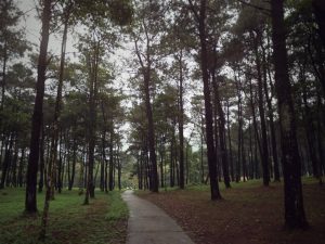 5 Activities in Hanoi