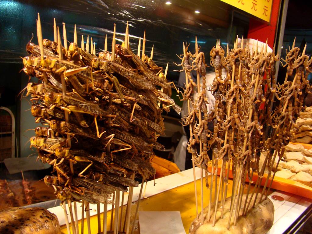31 Weirdest Foods Around The World