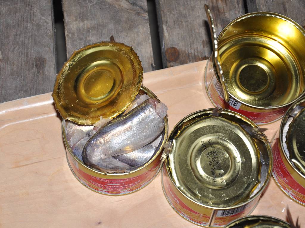 31 Weirdest Foods Around The World