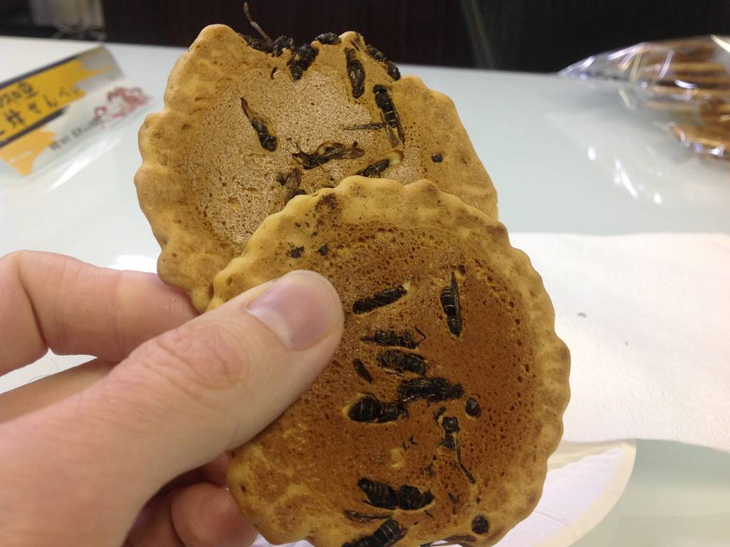 31 Weirdest Foods Around The World