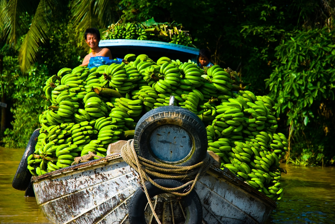 15 Amazing Shoots Prove the Beauty Of Vietnam