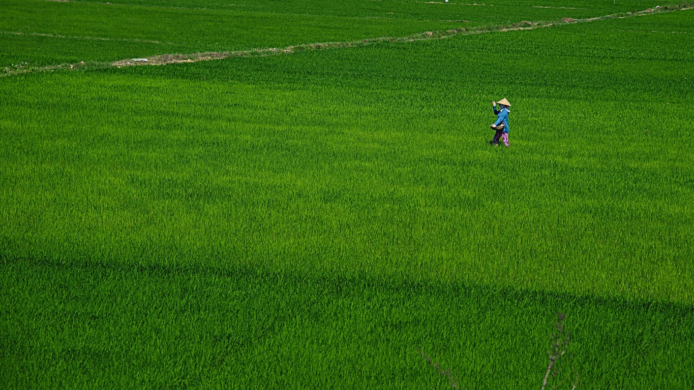 15 Amazing Shoots Prove the Beauty Of Vietnam