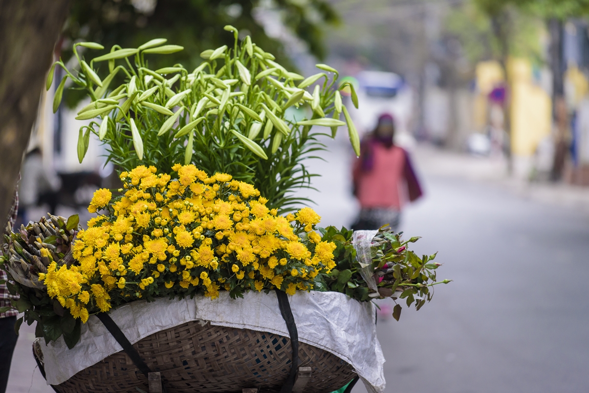 15 Amazing Shoots Prove the Beauty Of Vietnam