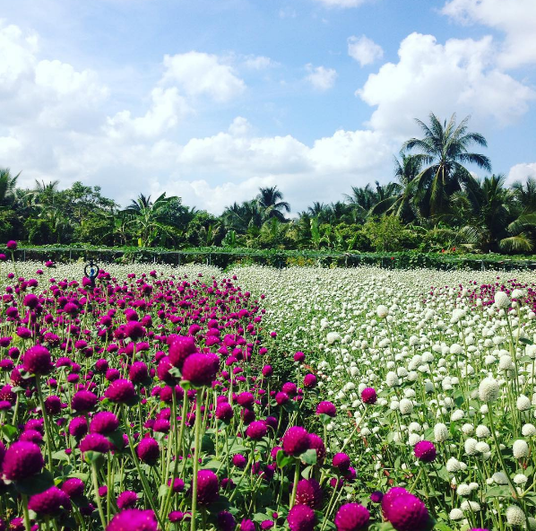 A Taste Of Tien Giang