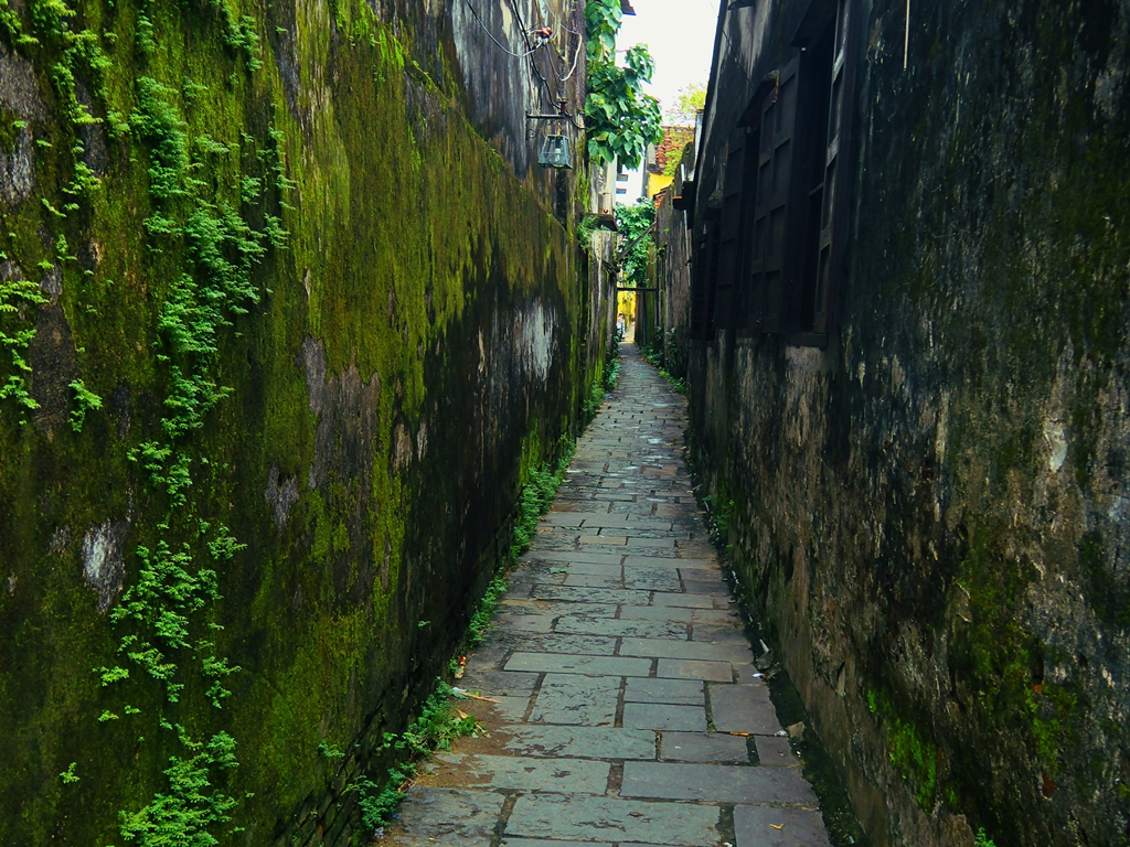15 Amazing Shoots Prove the Beauty Of Vietnam