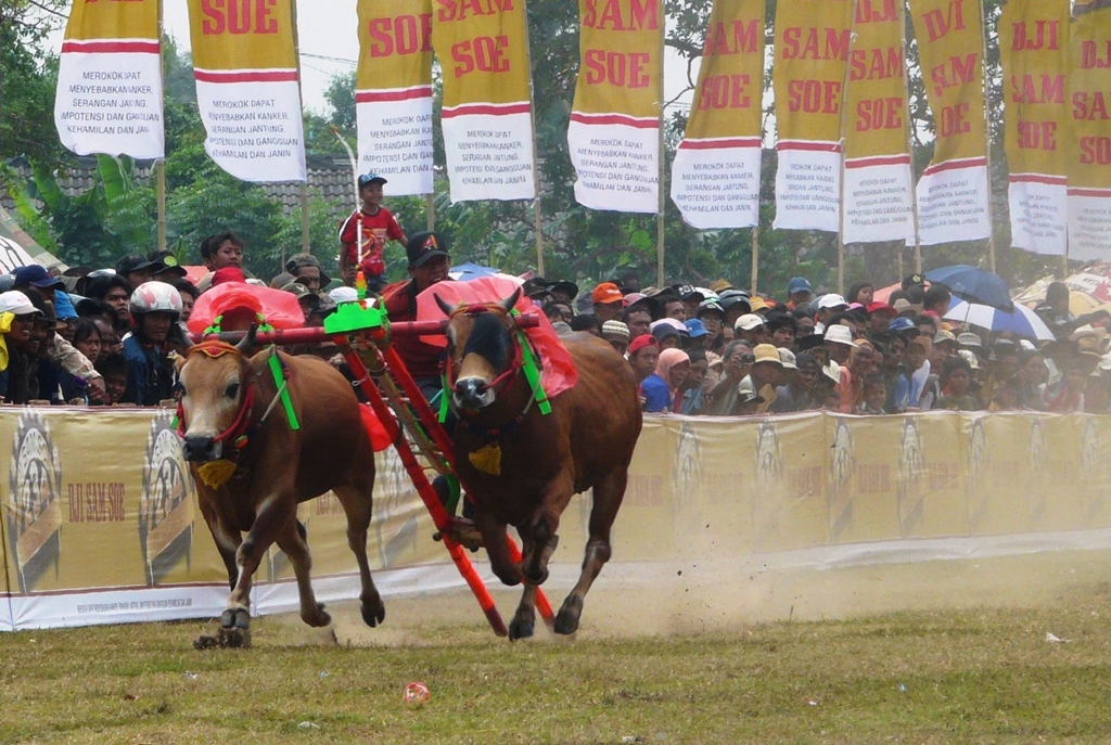 Top 10 South East Asia Photos