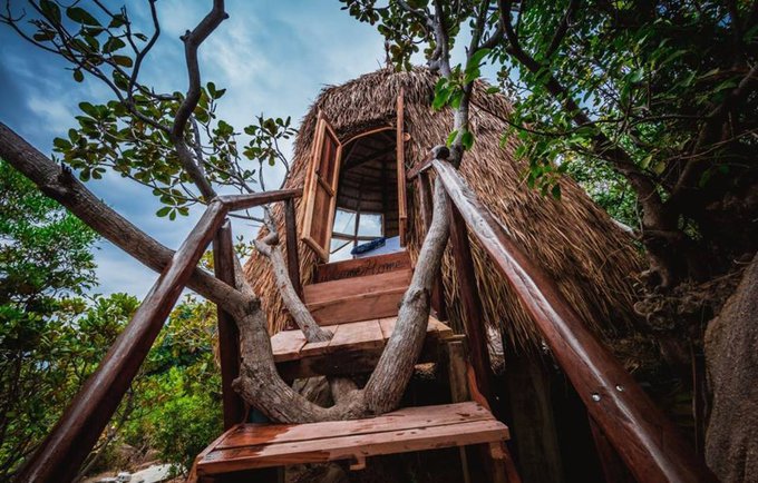 Giant Birds' Nests Are The Perfect Place To Stay Close To The Ocean