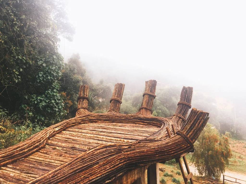 Hoa Son Dien Trang In Da Lat