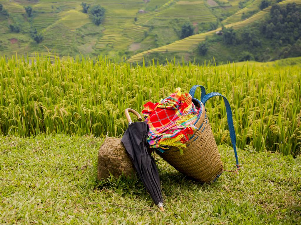 Insider: Mu Cang Chai Got Into Most Visit-worthy List