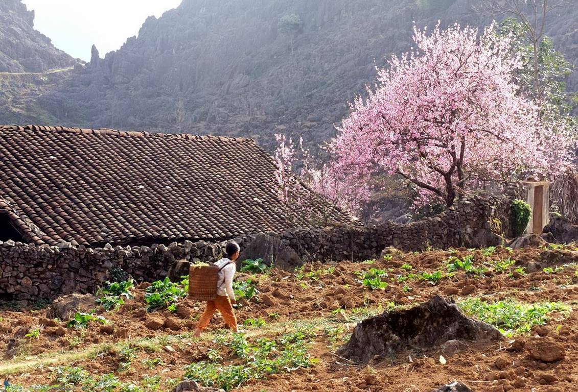 8 Destinations In Vietnam To Visit In January