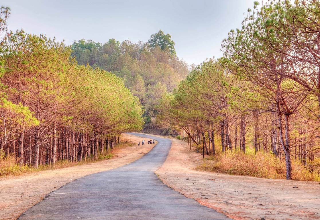 8 Destinations In Vietnam To Visit In January
