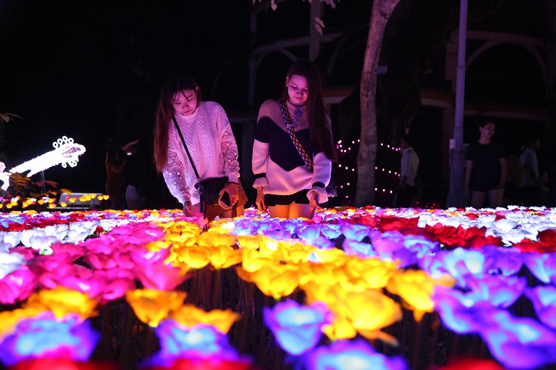 Saigon Zoo Hosts LJ International Lighting Festival