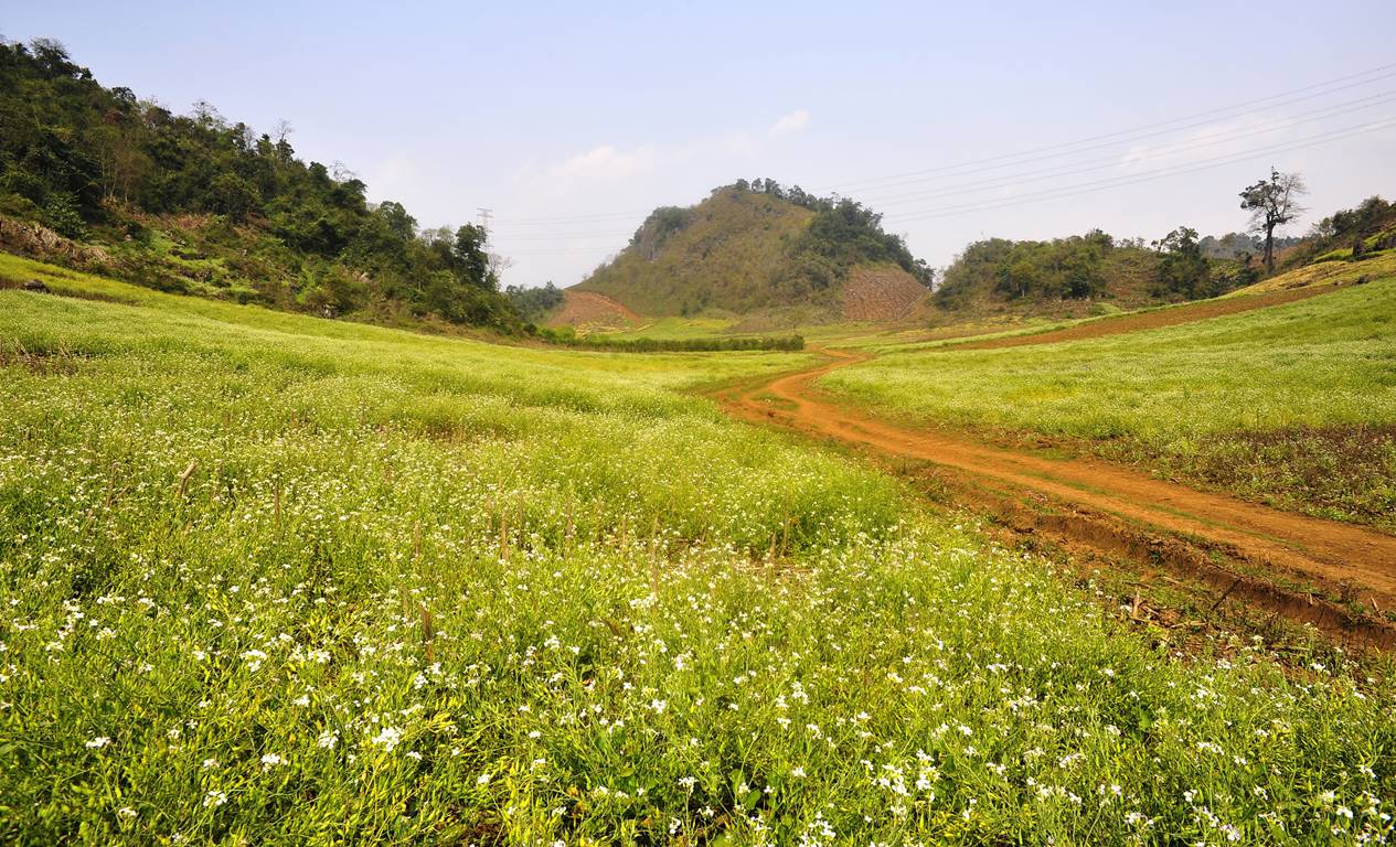 8 Destinations In Vietnam To Visit In January