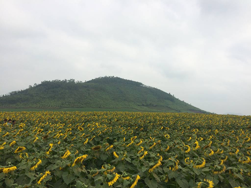 8 Destinations In Vietnam To Visit In January