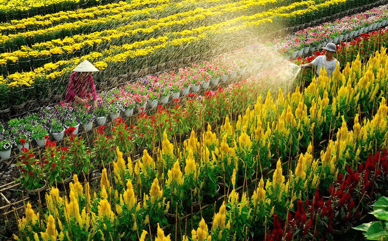 8 Destinations In Vietnam To Visit In January